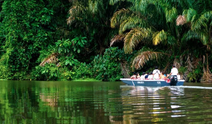 Vida Salvaje — Costa Rica